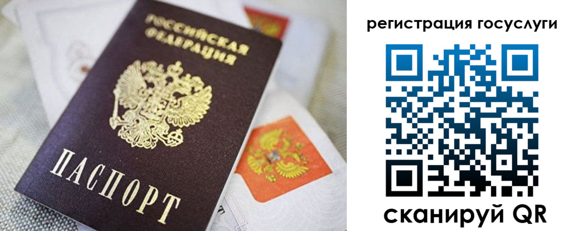 прописка паспорт в Сертолово